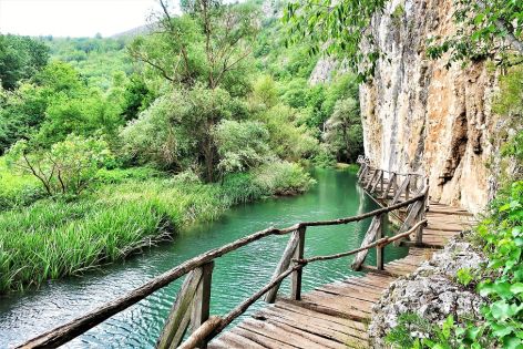 ЗЛАТНА ПАНЕГА – ОАЗИС НА ДИВАТА ПРИРОДА