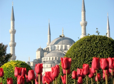 Истанбул - фестивала на лалето
