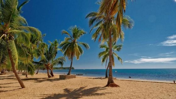 ORANGEA BEACH RESORT